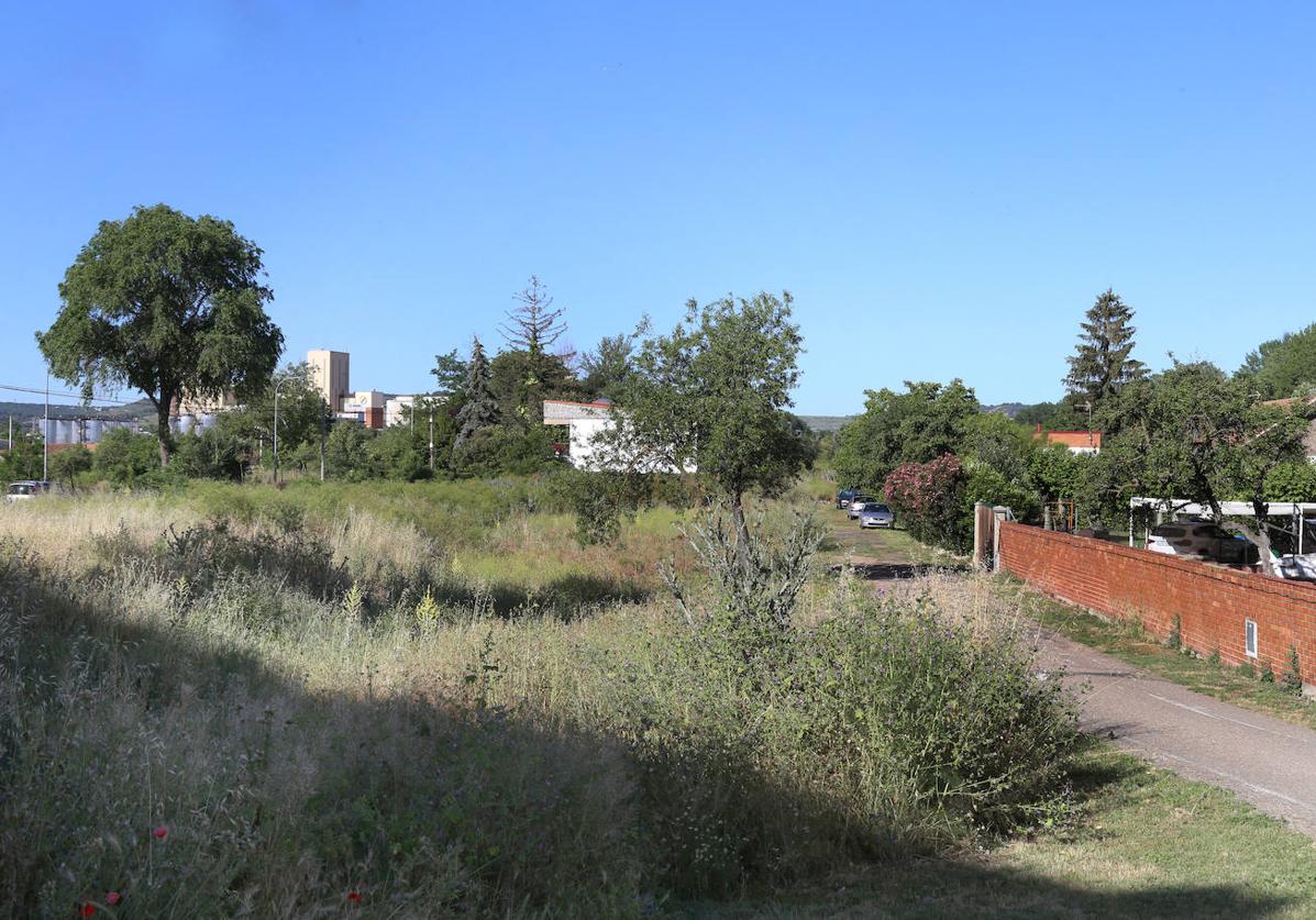 Terrenos de la zona del Paseo de Faustino Calvo, junto a la Dársena.