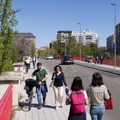 Carnero apuesta por un carril reversible para la reforma del puente de Poniente