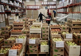 Voluntarios del Banco de Alimentos en una de las naves de la entidad en el polígono de Argales.