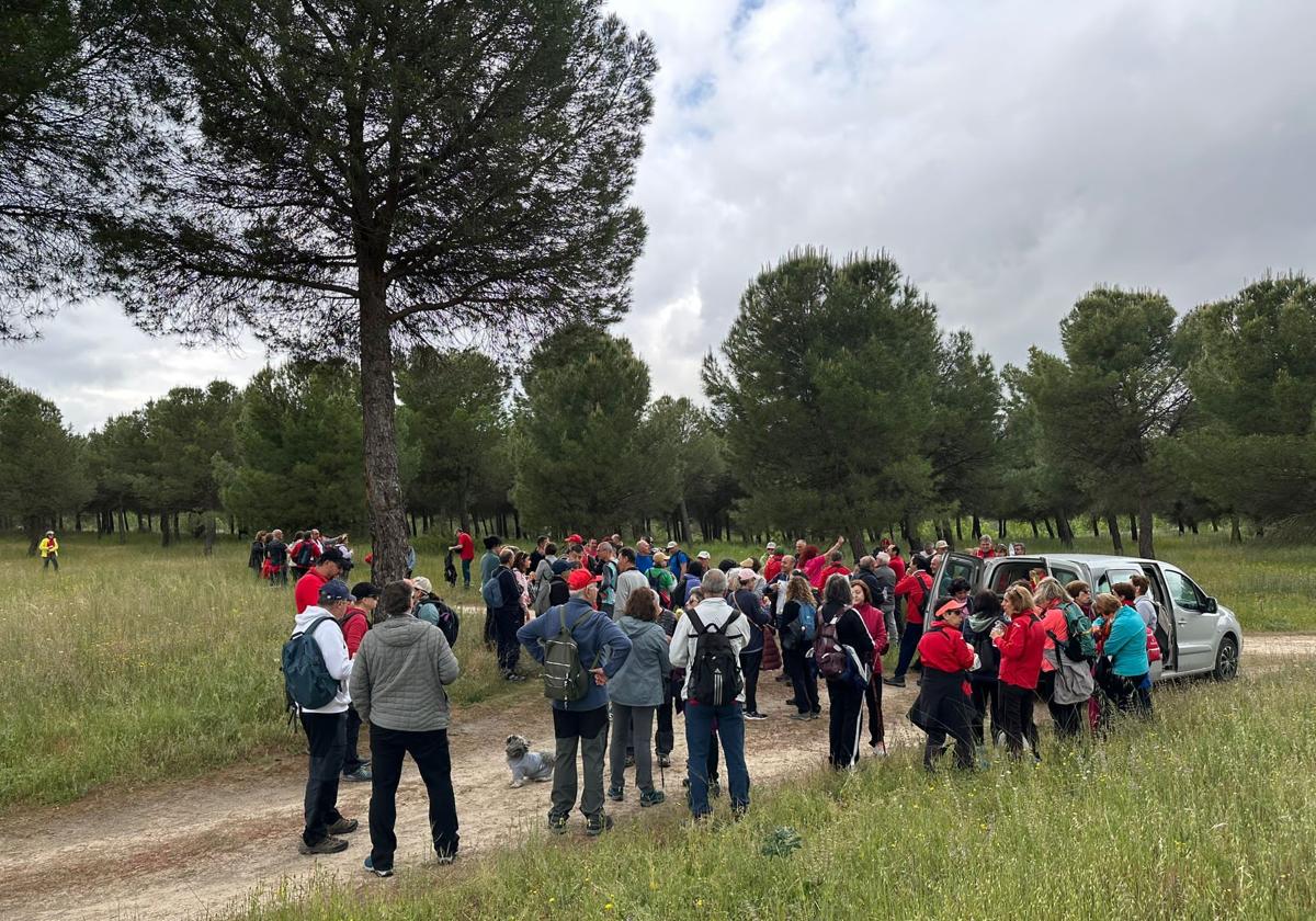 Andarines participantes en el Día del Senderismo de Pedrajas.