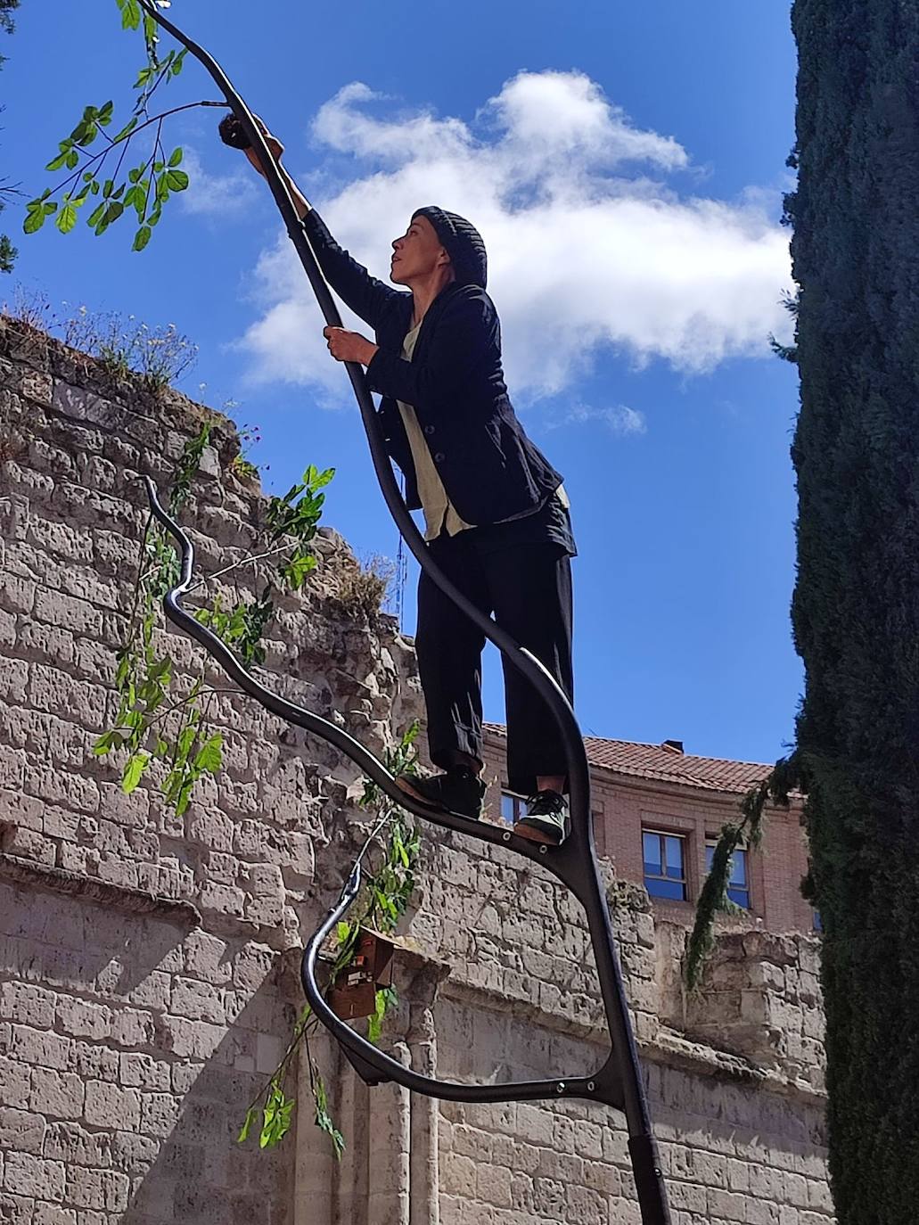 Claire Ducreux 'Fleurir les abîmes'