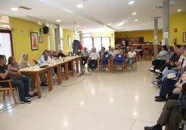 Mesa redonda sobre la achicoria.