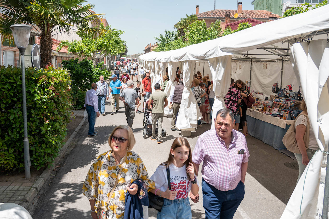 La Feria del Espárrago de Tudela de Duero en imágenes