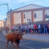 Animación y momentos de tensión en la jornada taurina de Nava de Rey