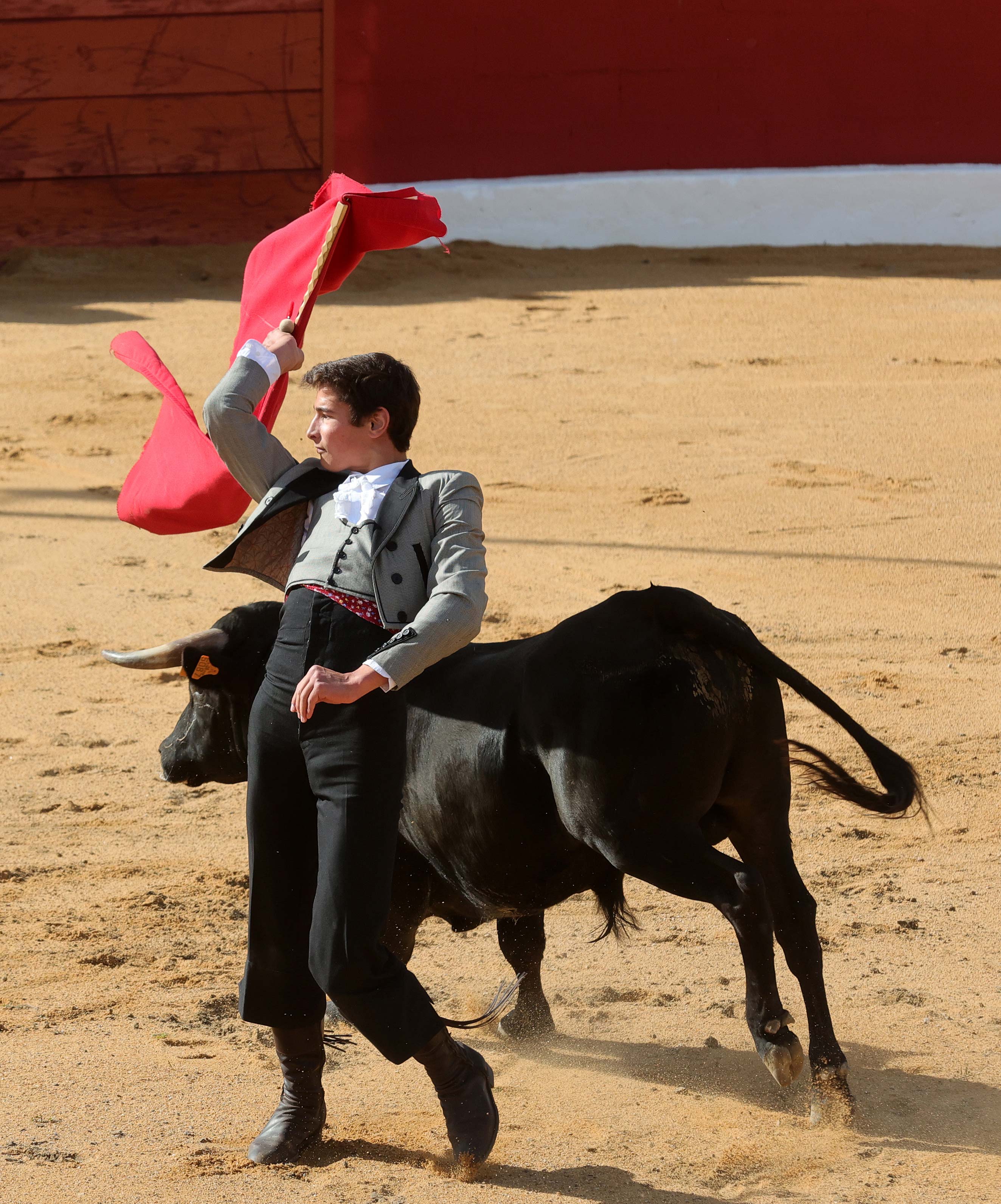 Final del bolsín taurino de Ampudia