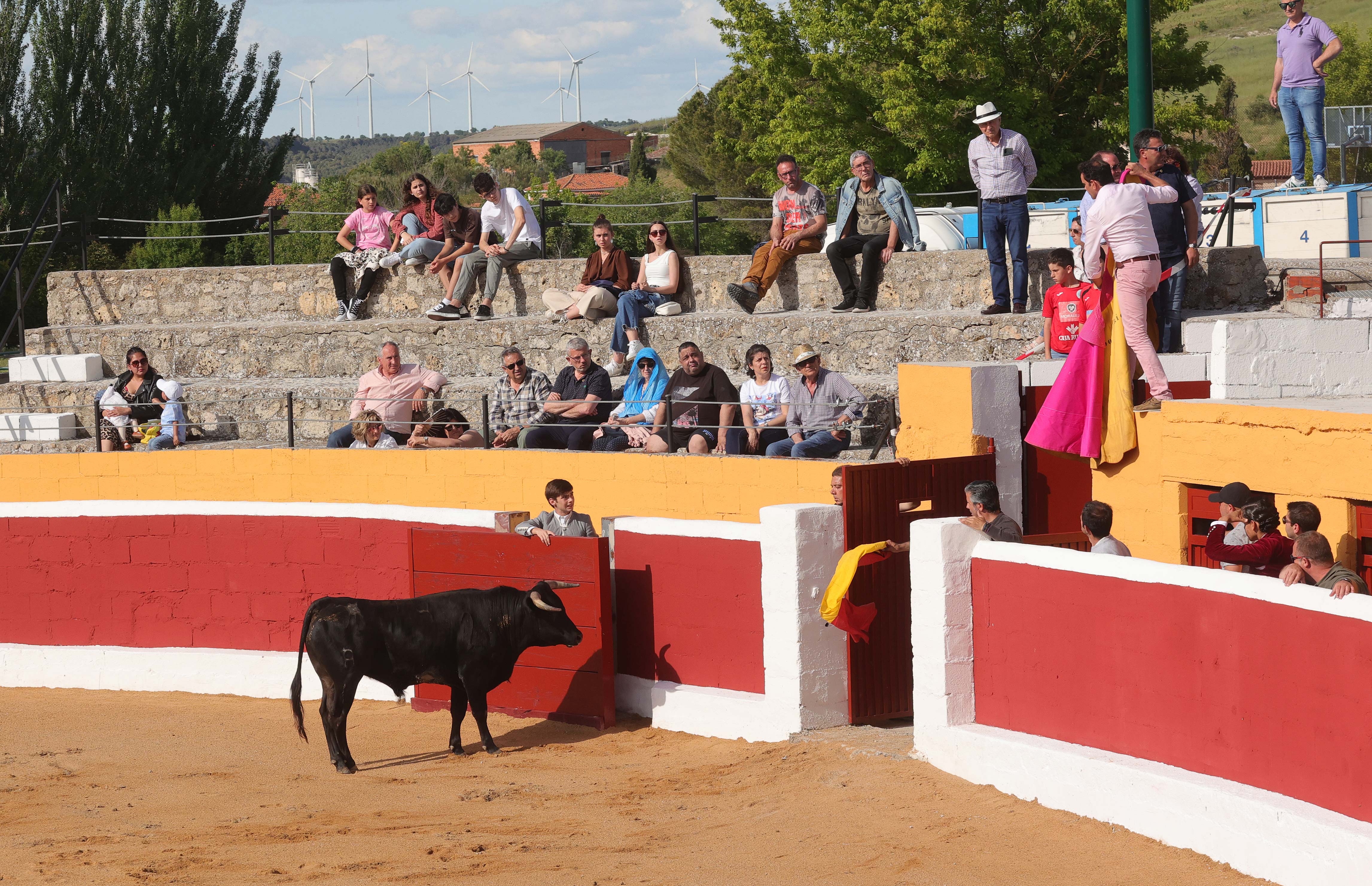 Final del bolsín taurino de Ampudia