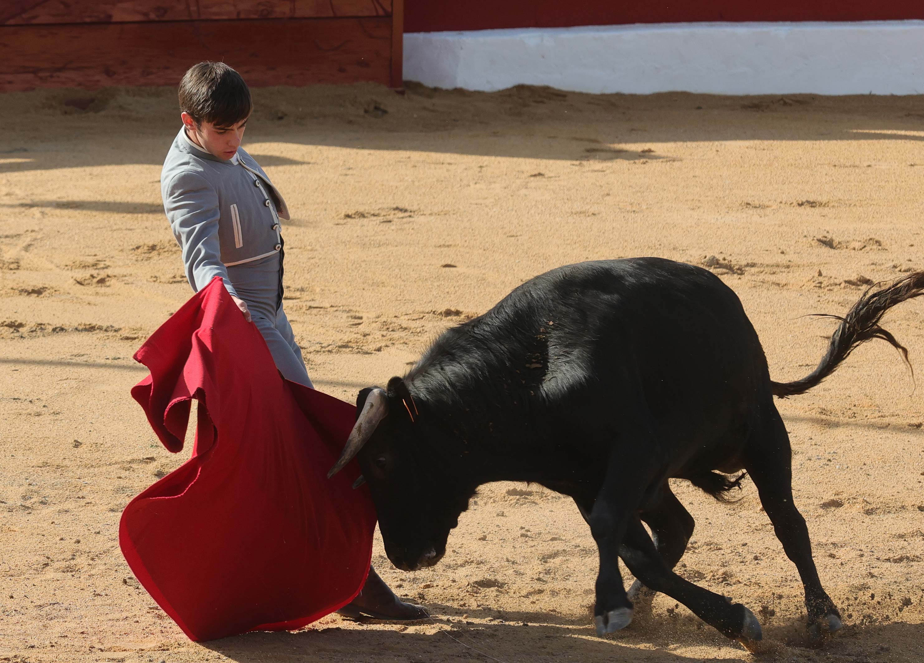 Final del bolsín taurino de Ampudia