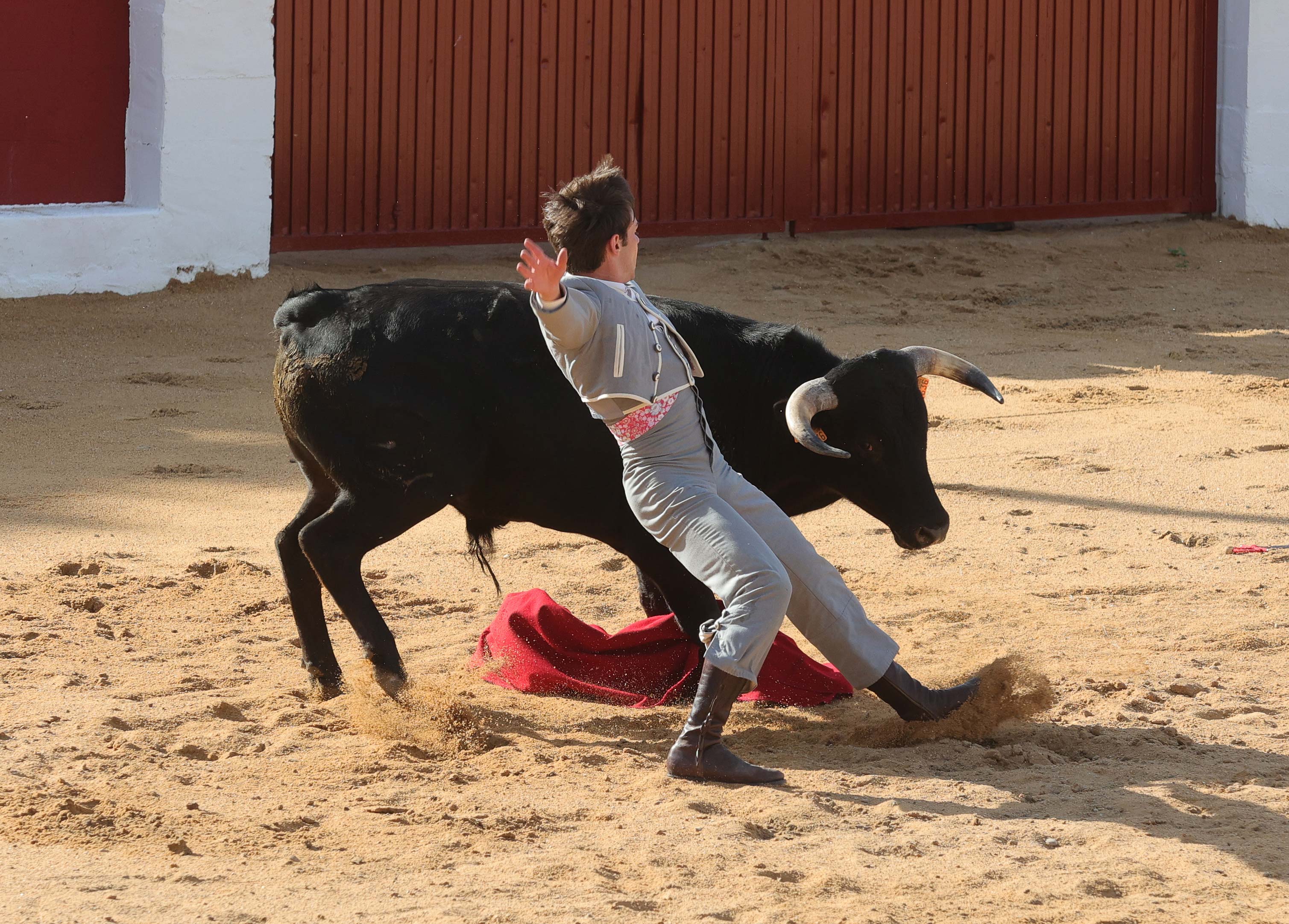 Final del bolsín taurino de Ampudia