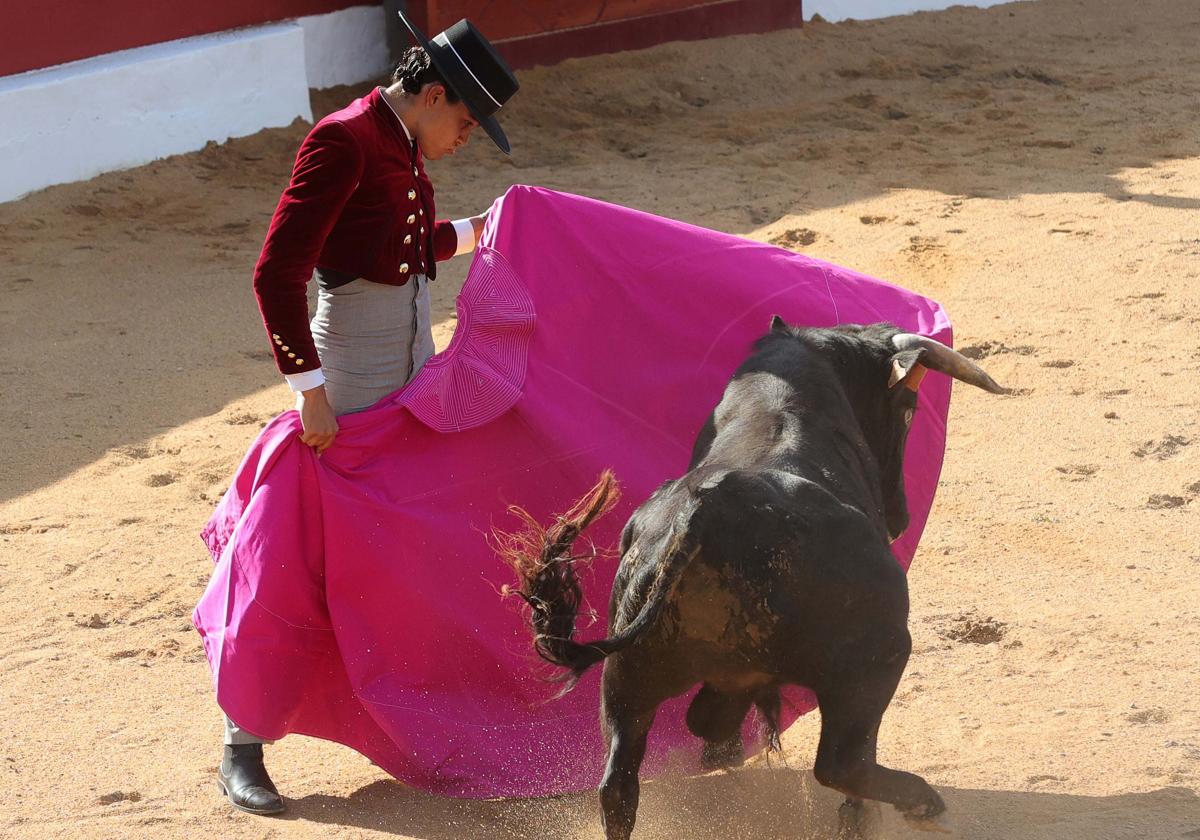 Rafael de la Cueva lancea a la verónica.