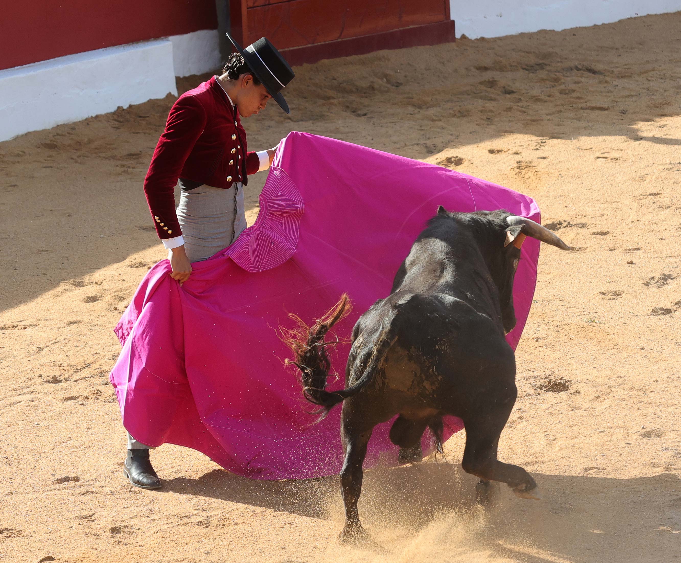 Final del bolsín taurino de Ampudia