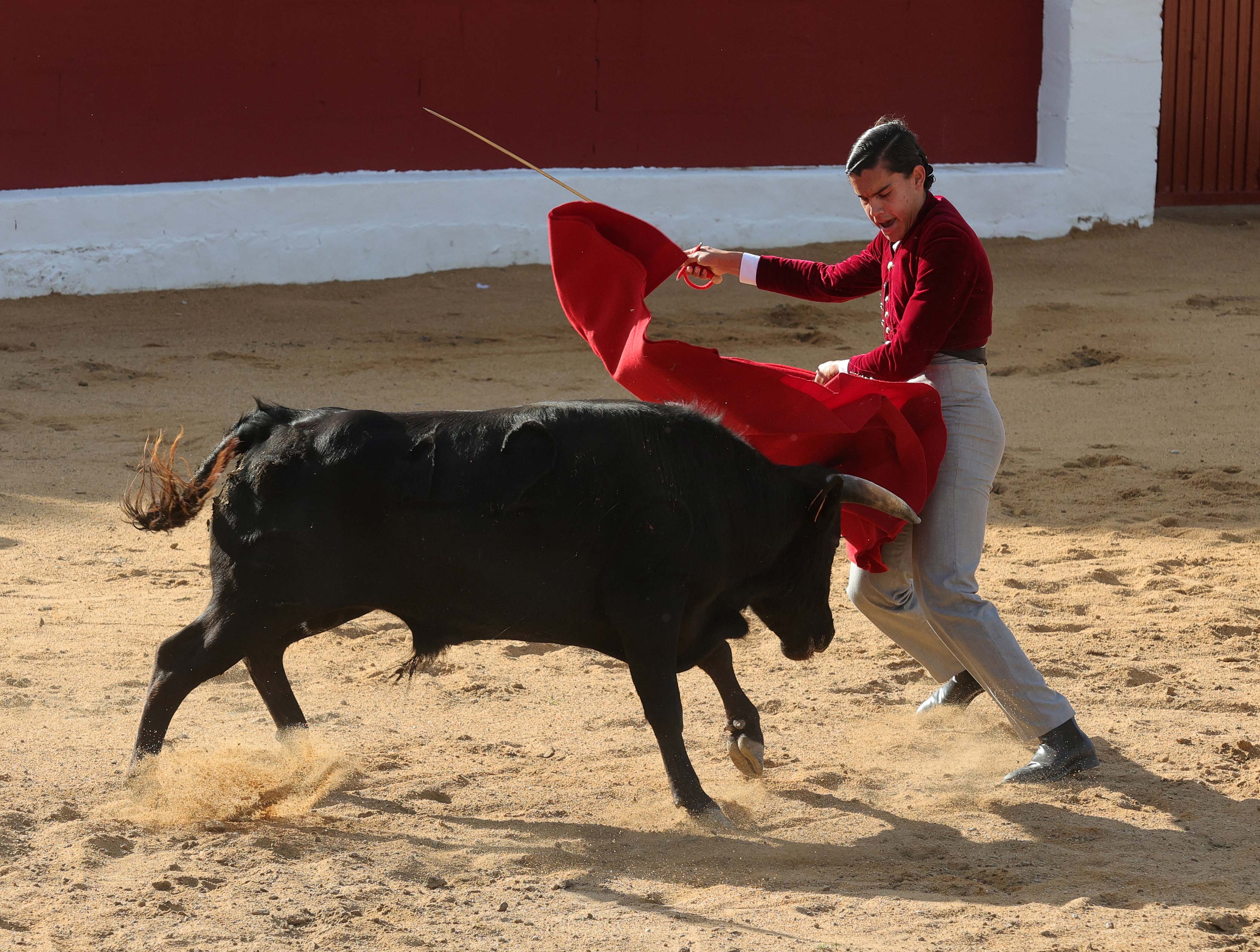 Final del bolsín taurino de Ampudia