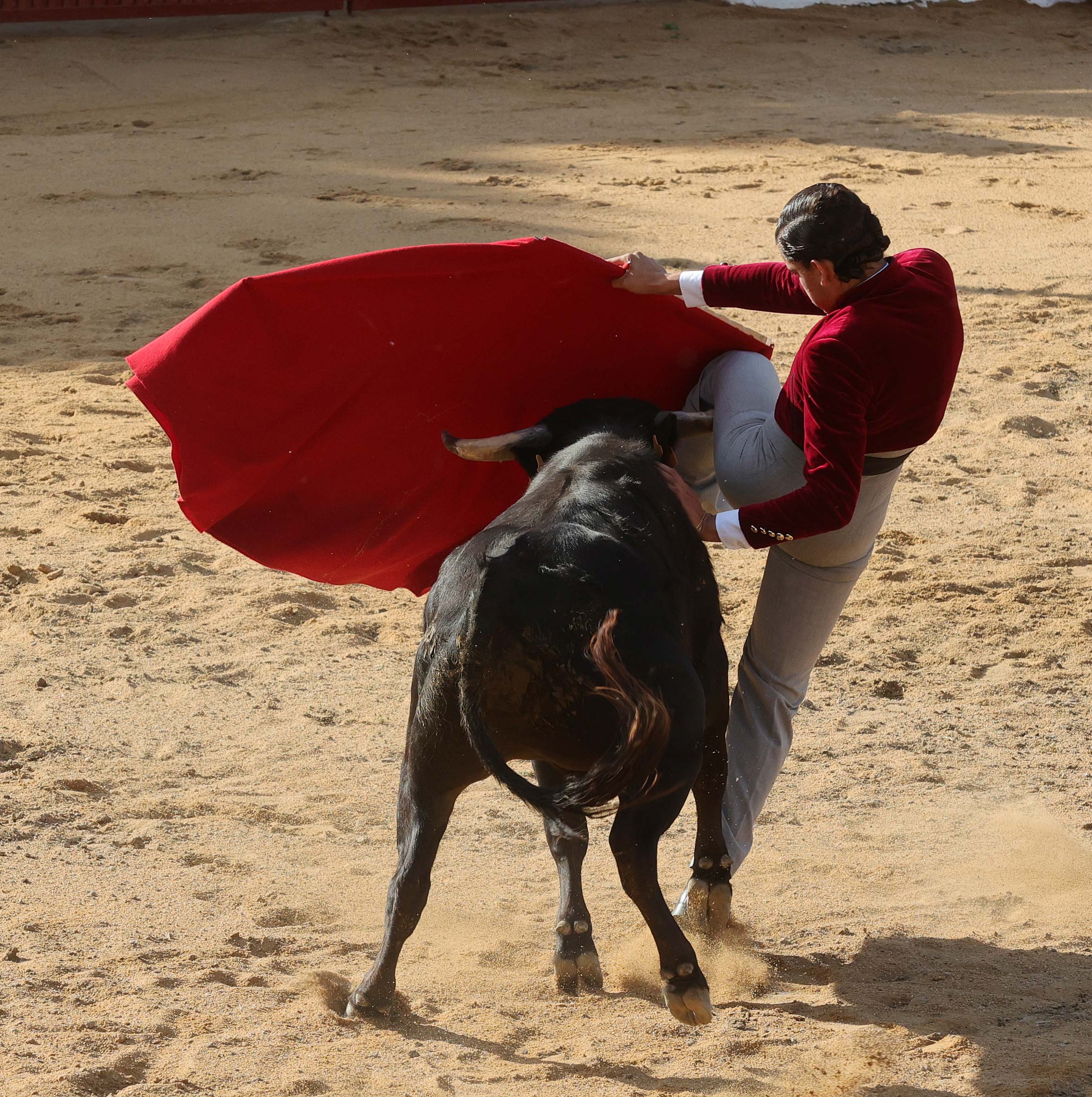 Final del bolsín taurino de Ampudia