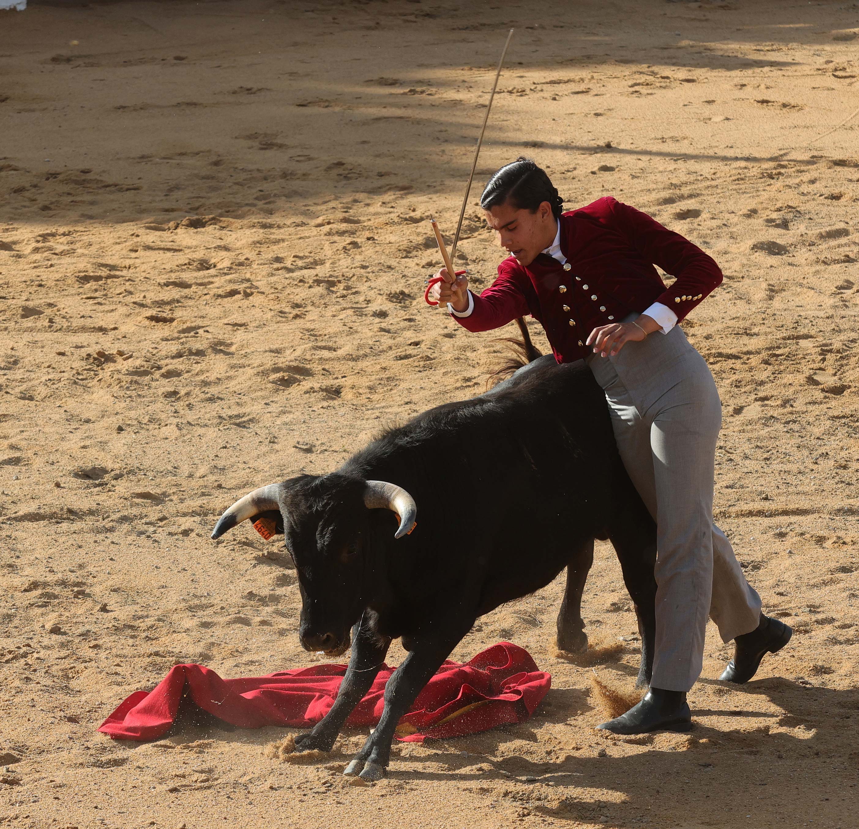 Final del bolsín taurino de Ampudia