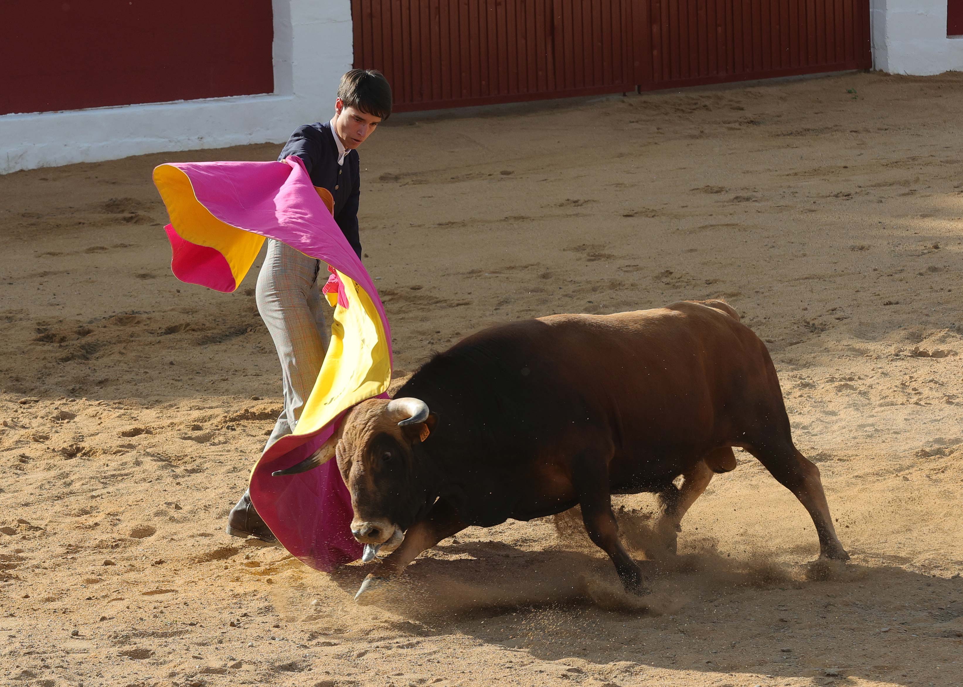 Final del bolsín taurino de Ampudia