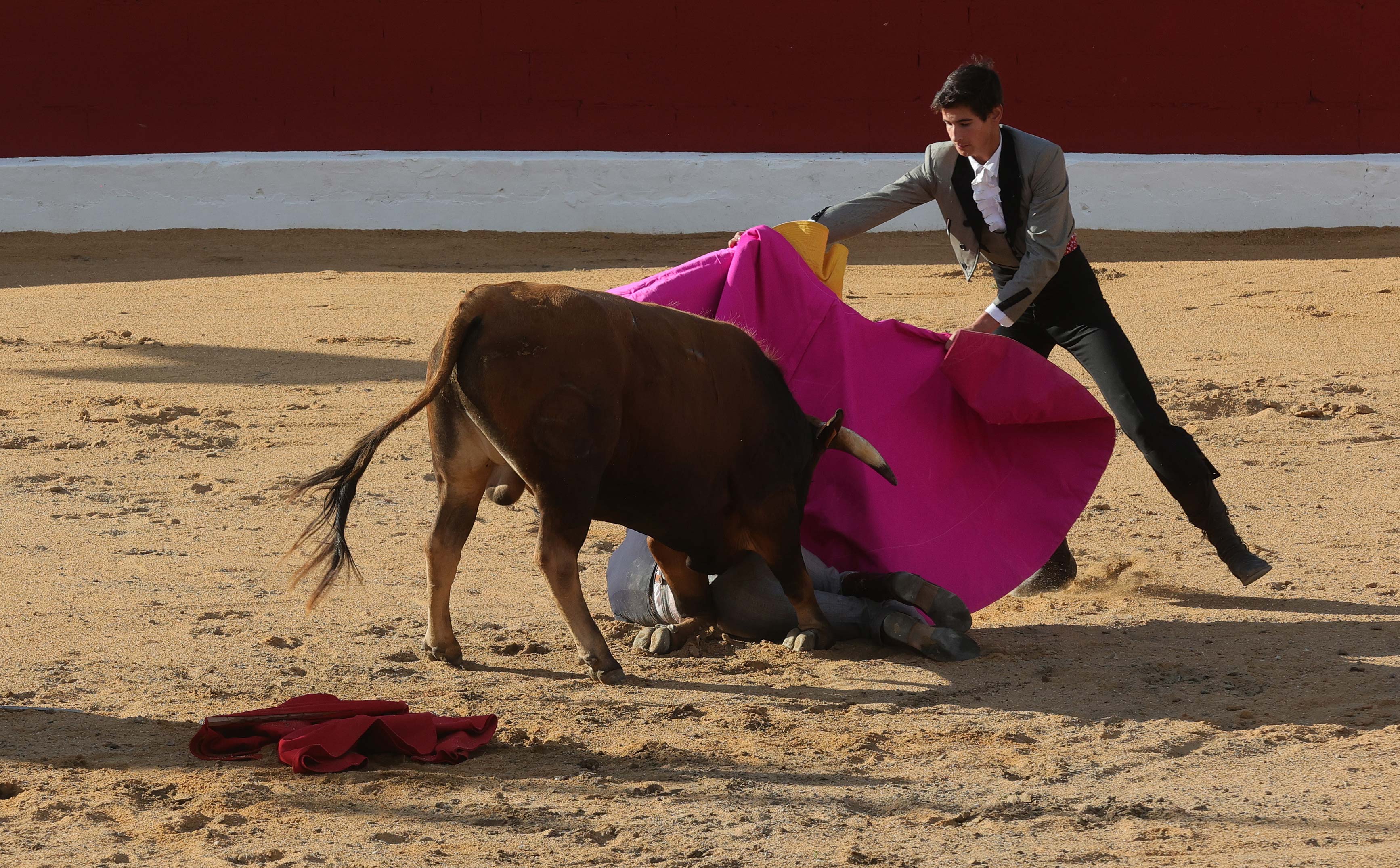 Final del bolsín taurino de Ampudia