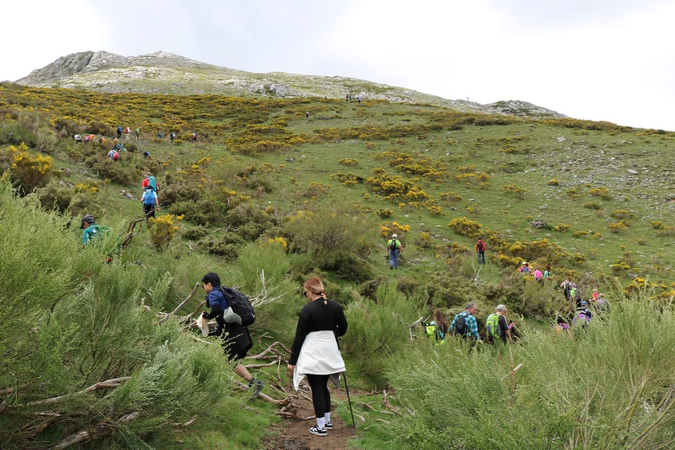 Los clubes de montaña de Palencia se unen en Cardaño de Abajo