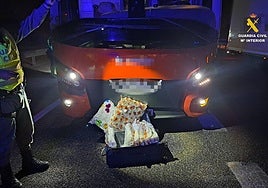 Agentes de la Guardia Civil muestran la maleta con la droga intervenida en el autocar.