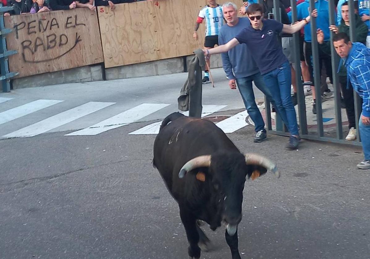 El Toro de las Peñas, por las calles de Zaratán.