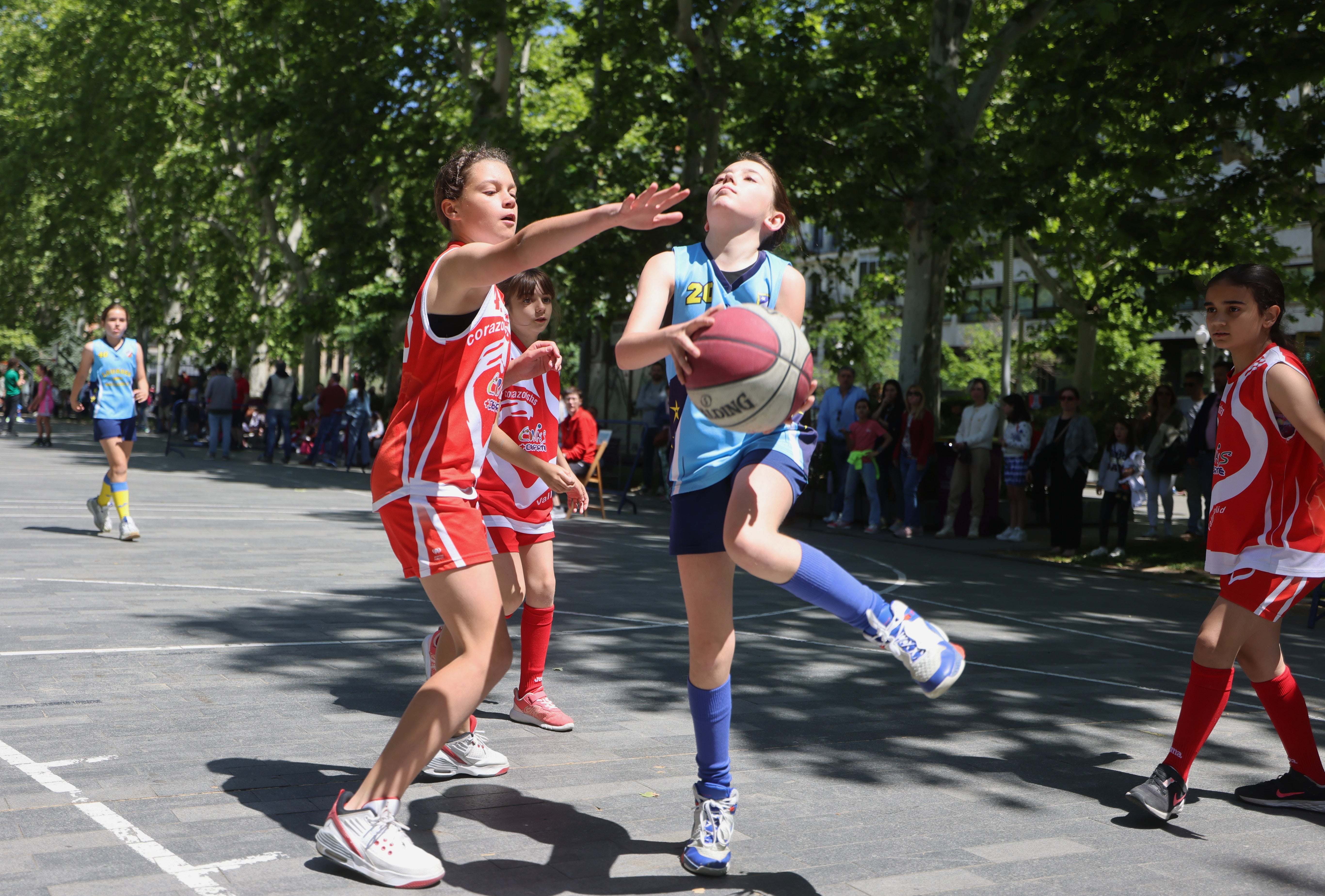 Día del Minibasket en Valladolid