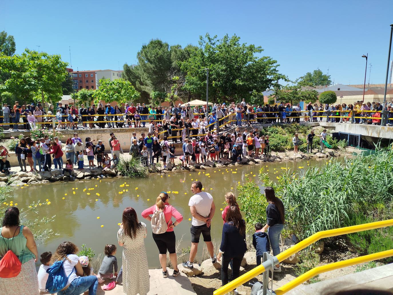 Carrera de patitos de goma solidarios en Valladolid