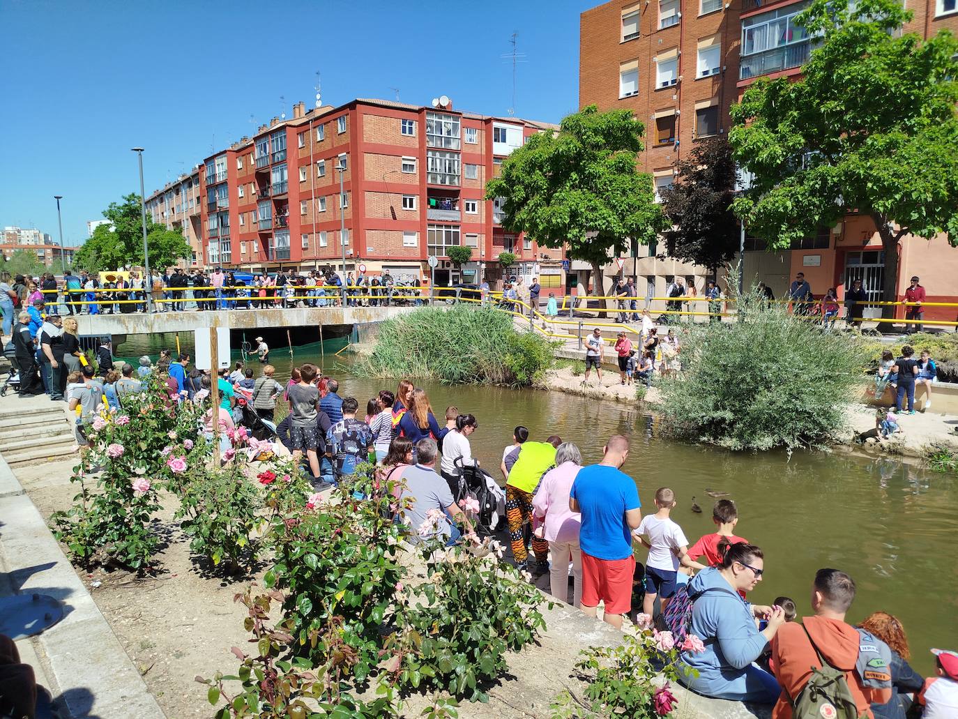 Carrera de patitos de goma solidarios en Valladolid