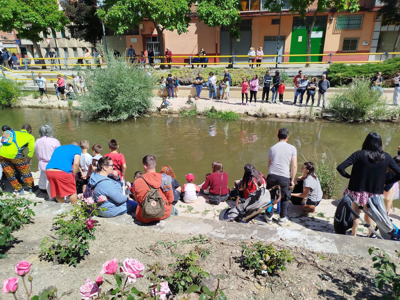 Carrera de patitos de goma solidarios en Valladolid