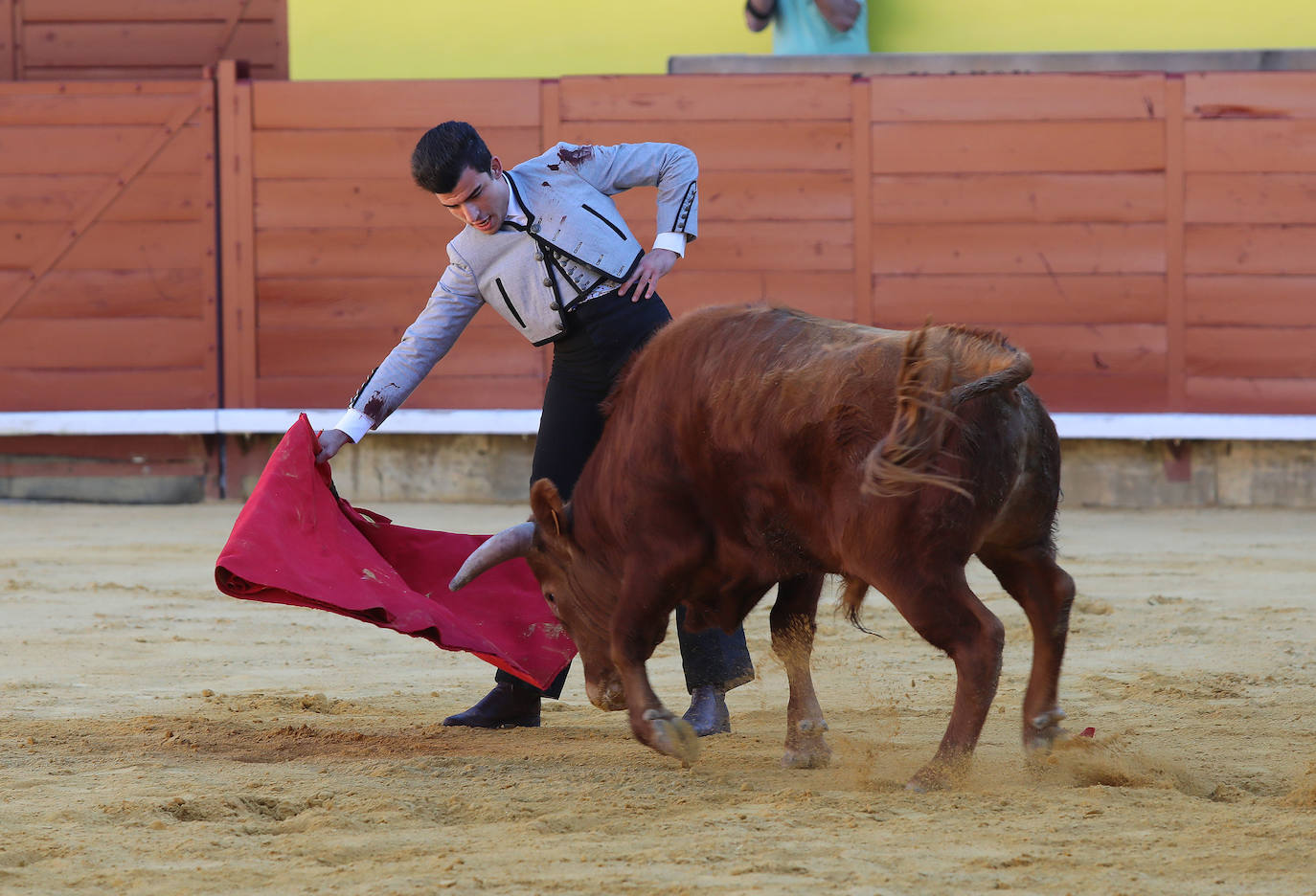 Novillada de la Escuela Taurina de Palencia por la Feria Chica