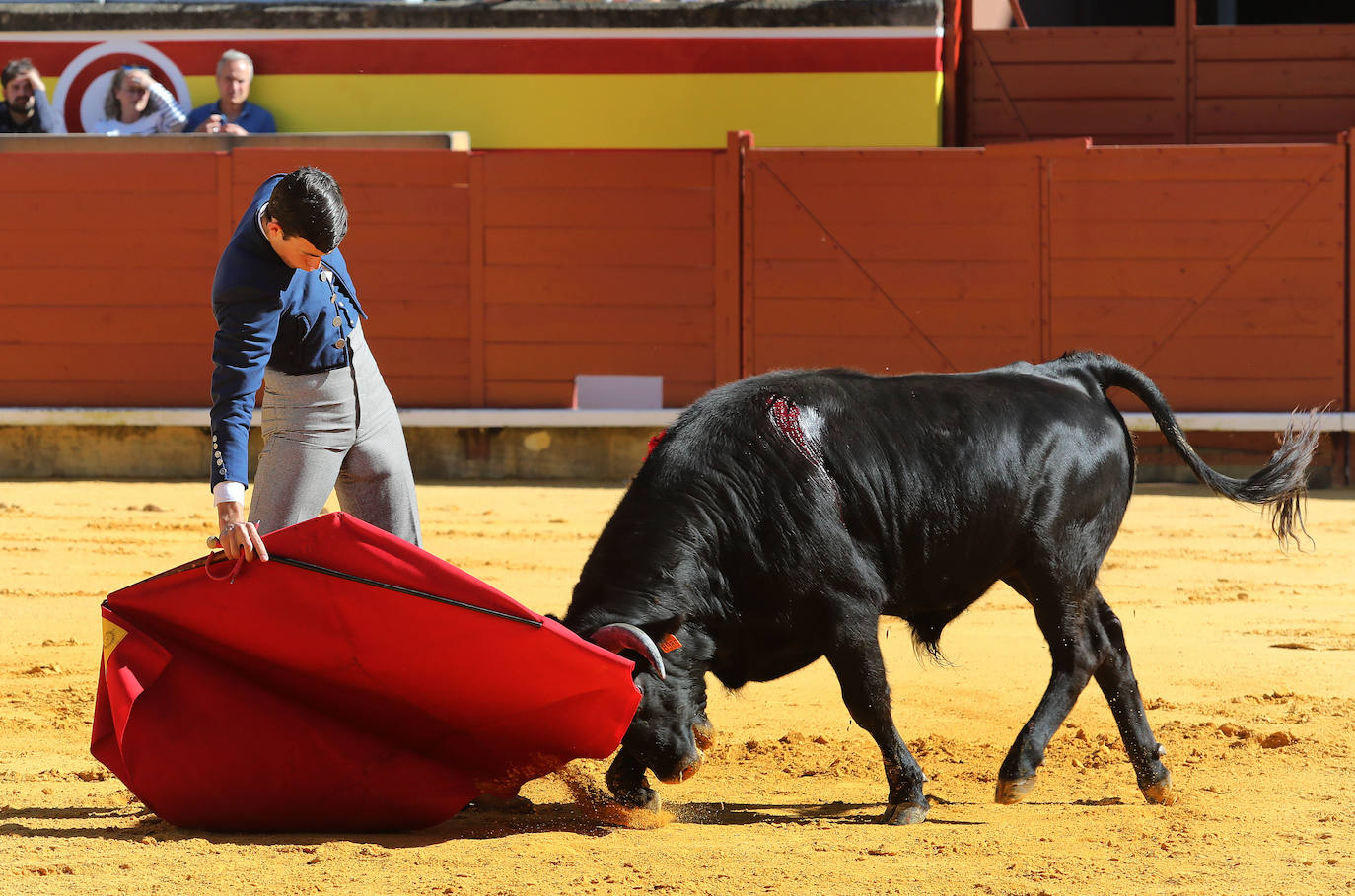 Novillada de la Escuela Taurina de Palencia por la Feria Chica