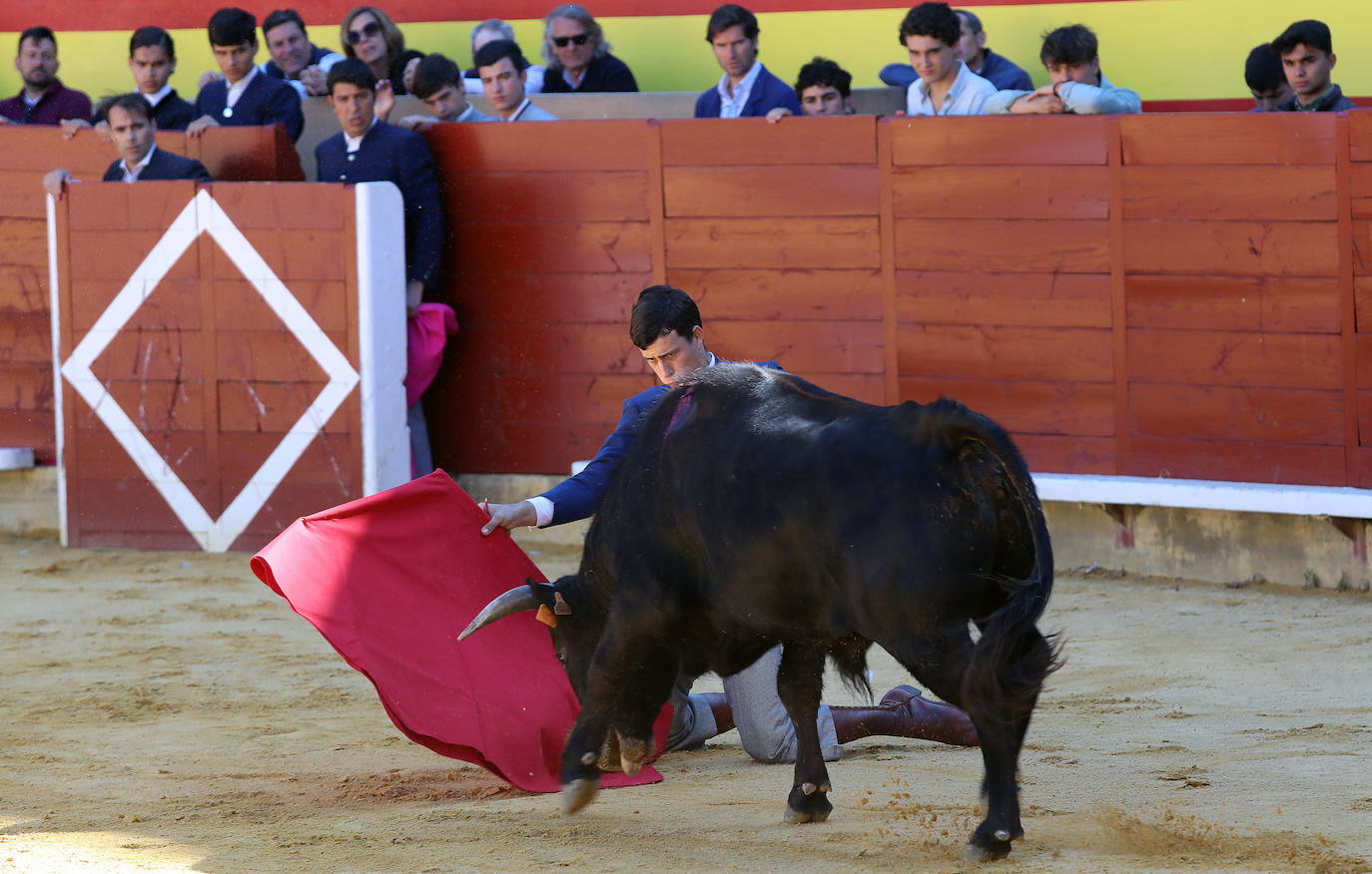 Novillada de la Escuela Taurina de Palencia por la Feria Chica