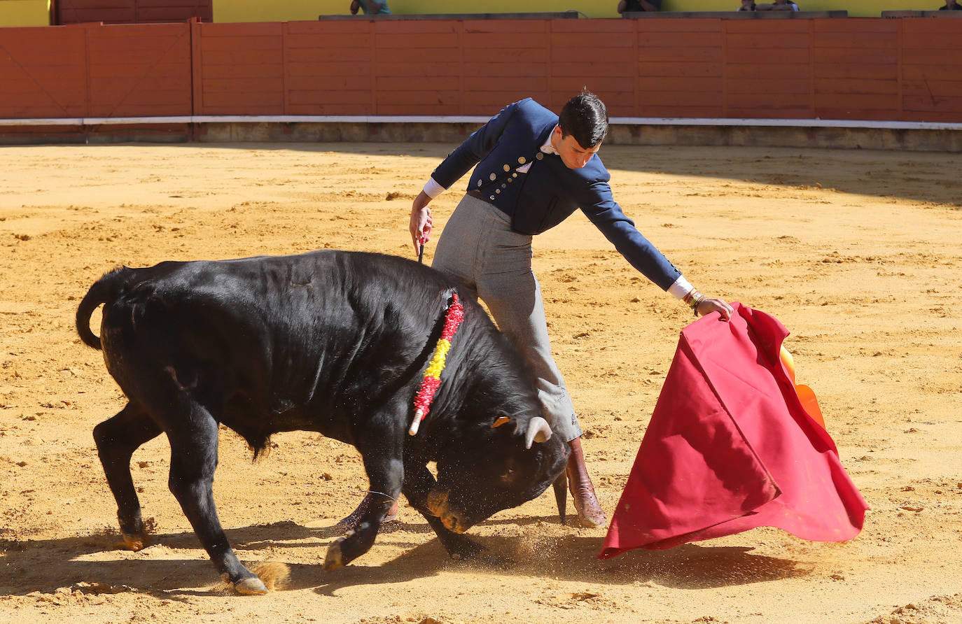 Novillada de la Escuela Taurina de Palencia por la Feria Chica