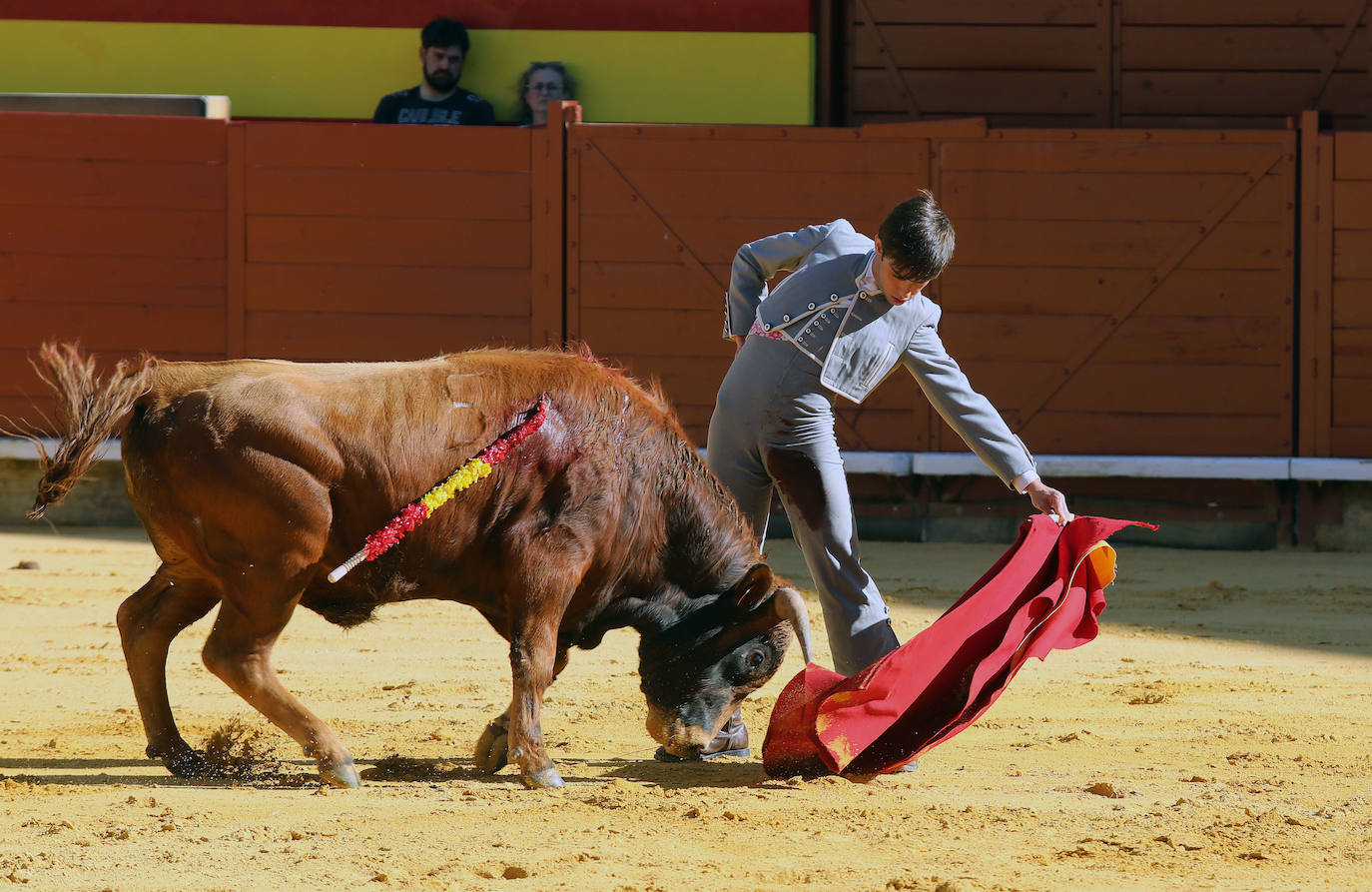 Novillada de la Escuela Taurina de Palencia por la Feria Chica