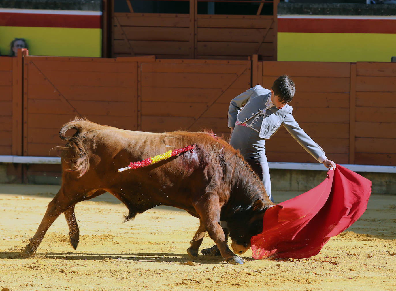 Novillada de la Escuela Taurina de Palencia por la Feria Chica