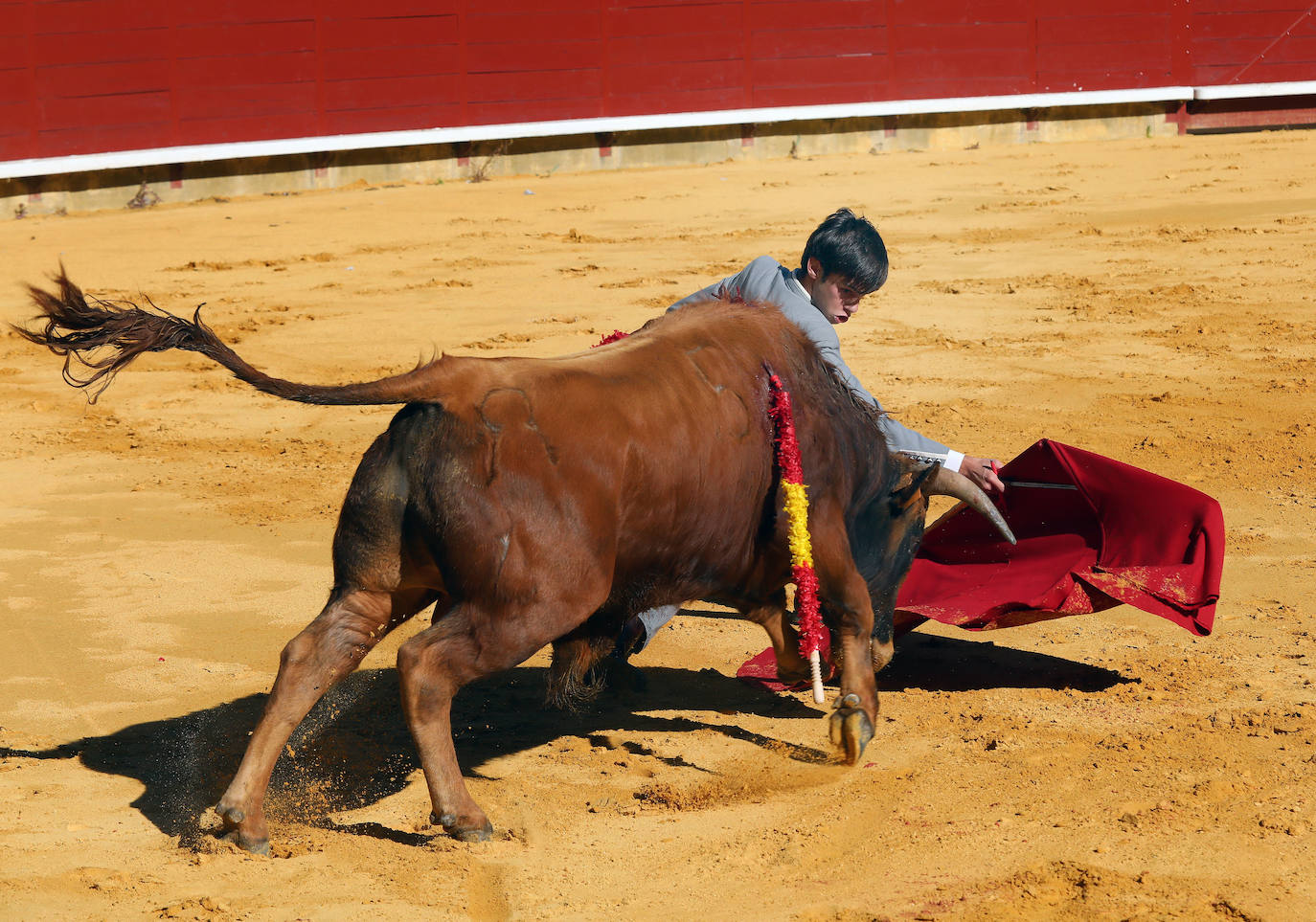 Novillada de la Escuela Taurina de Palencia por la Feria Chica