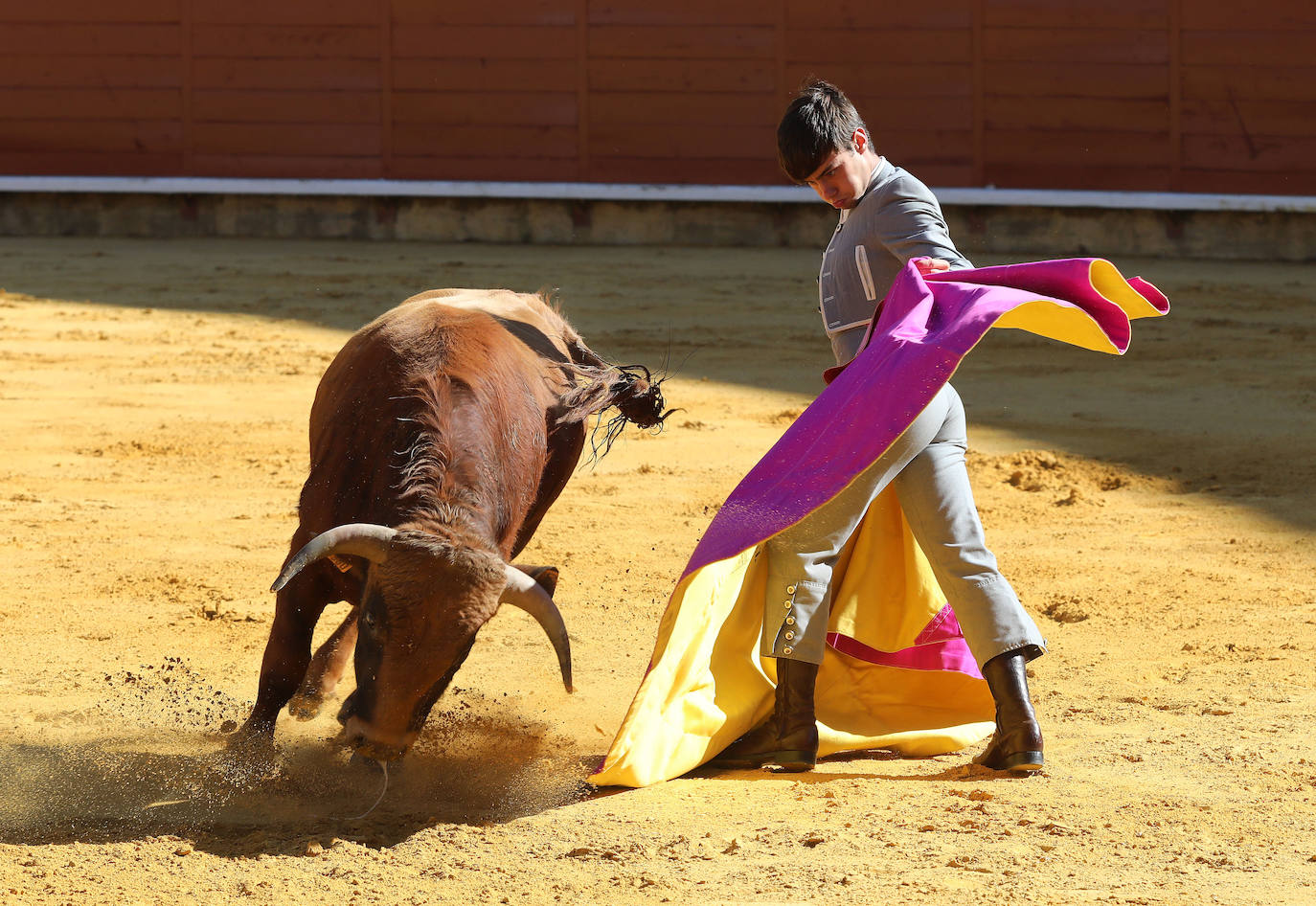 Novillada de la Escuela Taurina de Palencia por la Feria Chica