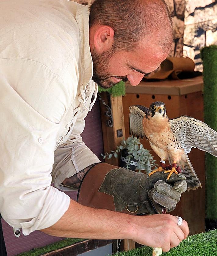 Imagen secundaria 2 - Arriba, multitud de visitantes recorren los puestos de artesanía del Mercado Barroco; abajo, uno de los puestos gastronómicos y a su derecha, una demostración de cetrería. 