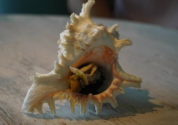 Un pincho con 'sabor a mar' en el corazón de Villa del Prado