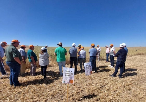 Agricultores de La Moraña durante su visita a los campos de ensayo de Cisla.