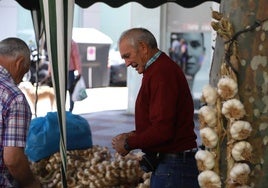 Feria del ajo de Zamora.