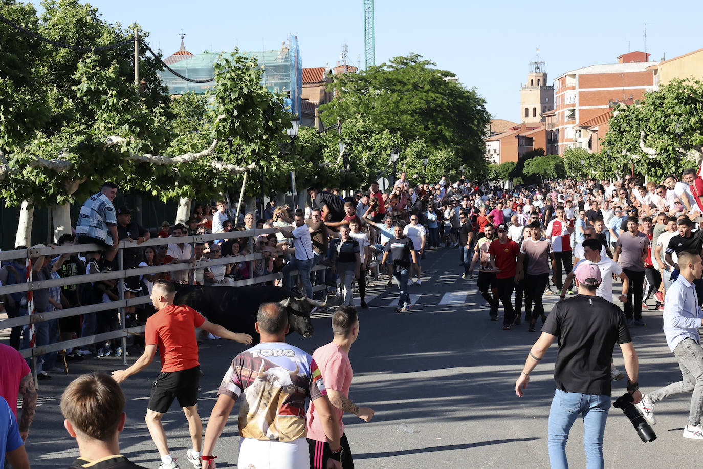 El álbum con los lances del Toro de la Feria de Medina del Campo