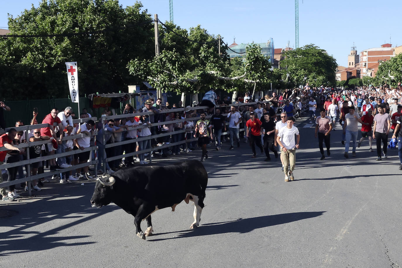 El álbum con los lances del Toro de la Feria de Medina del Campo