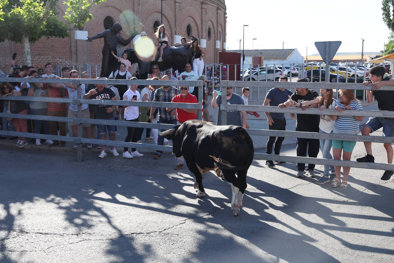 El álbum con los lances del Toro de la Feria de Medina del Campo