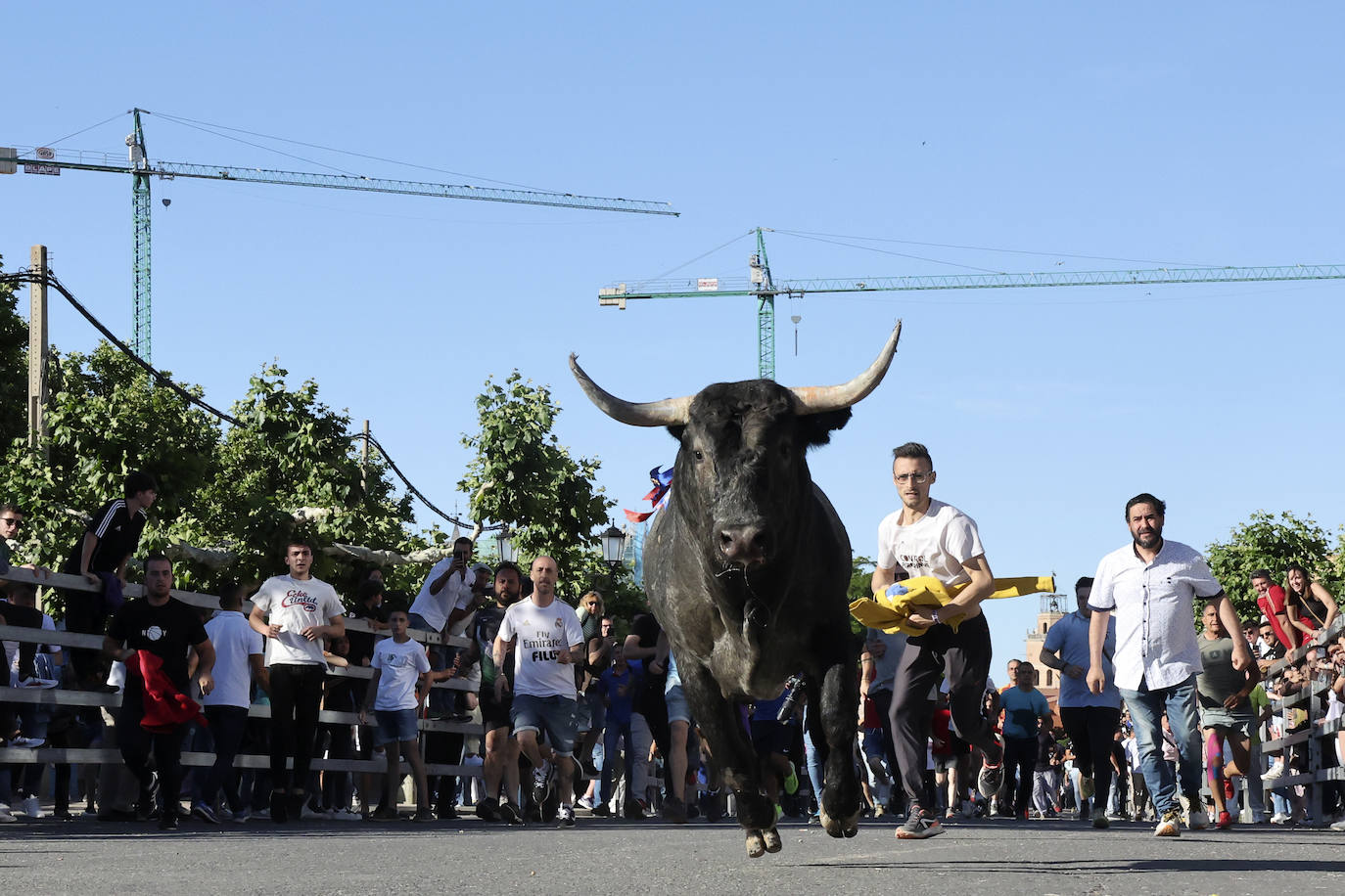 El álbum con los lances del Toro de la Feria de Medina del Campo