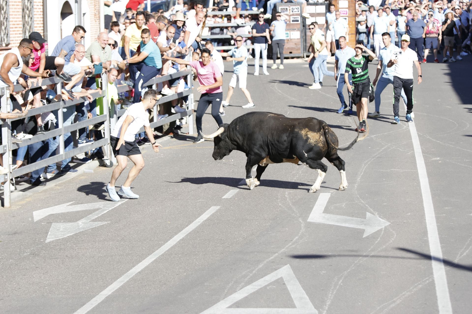 El álbum con los lances del Toro de la Feria de Medina del Campo