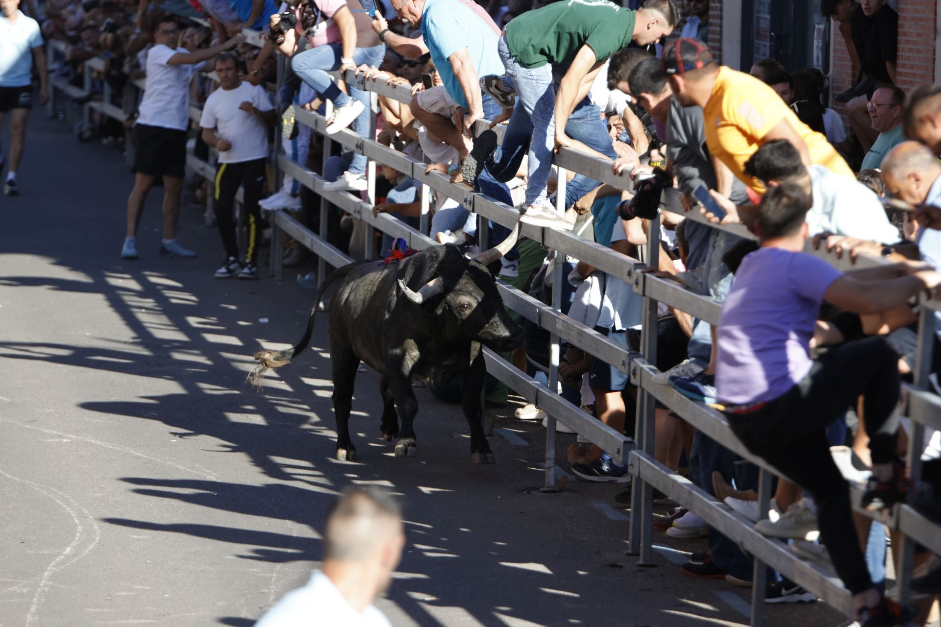 El álbum con los lances del Toro de la Feria de Medina del Campo