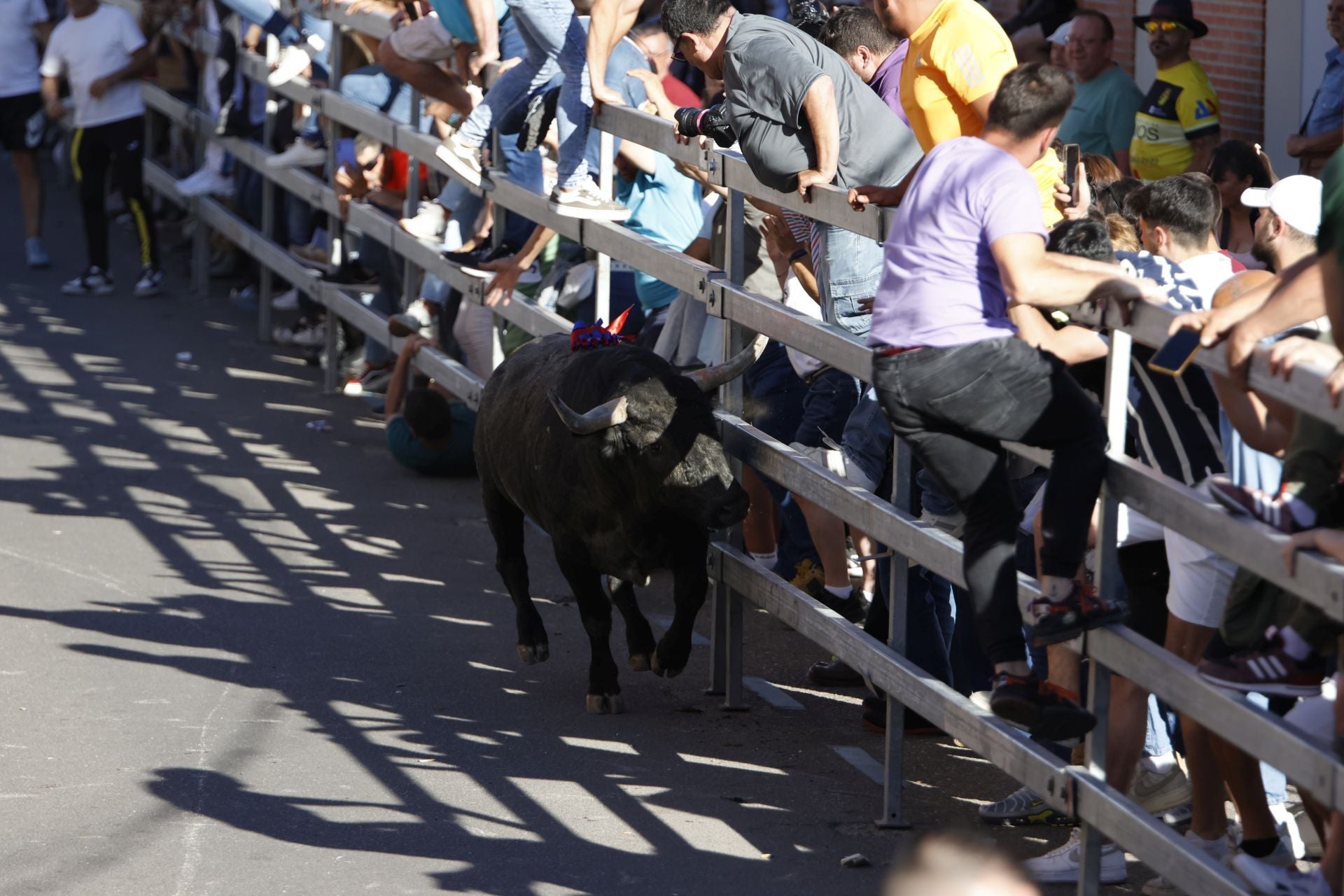 El álbum con los lances del Toro de la Feria de Medina del Campo