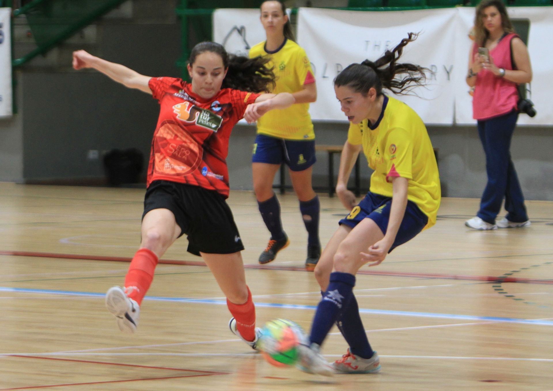 Fotografías del partido entre el Segosala Naturpellet y el Teldeportivo