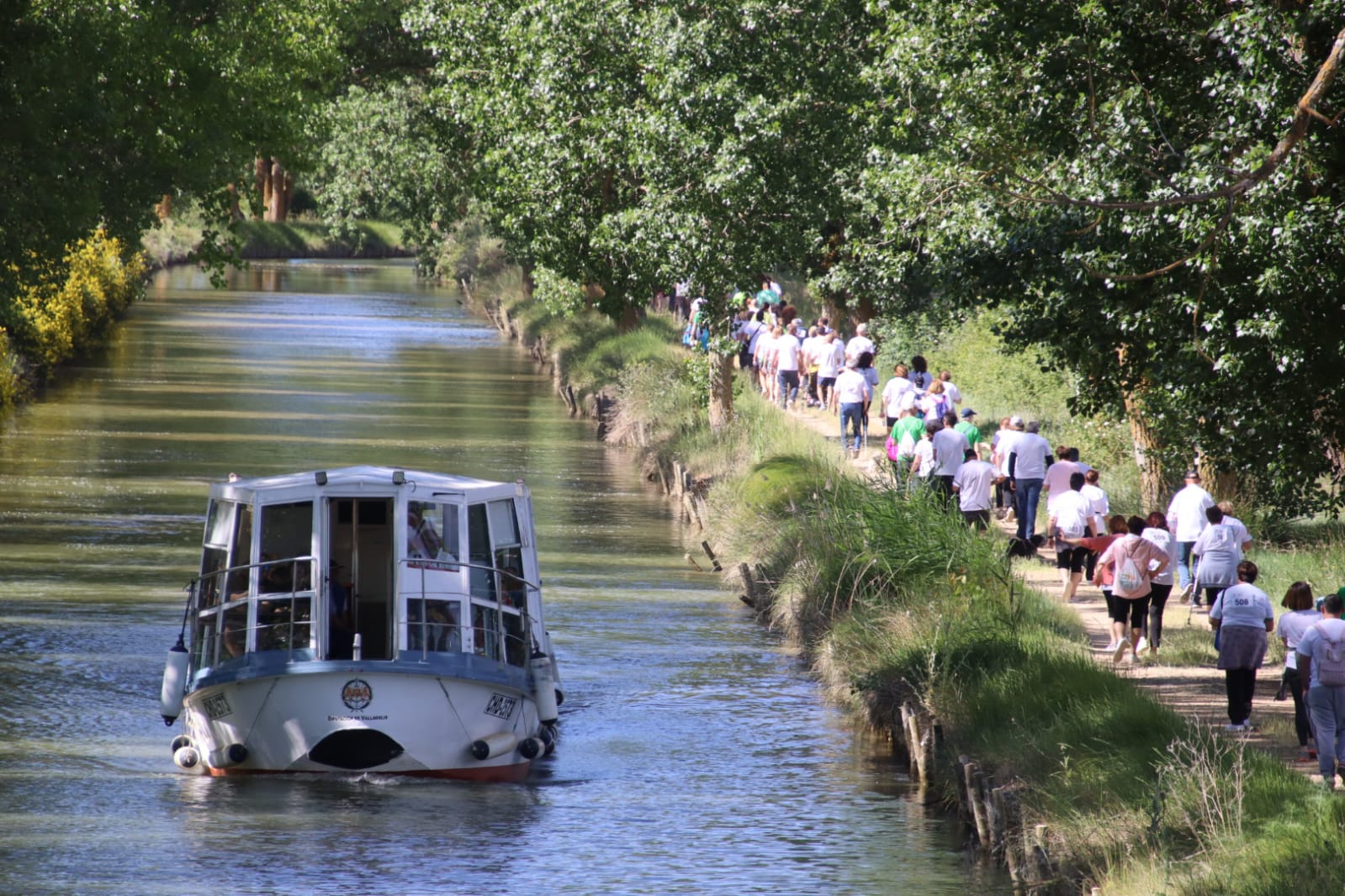 La octava marcha contra el cáncer de Rioseco, en imágenes