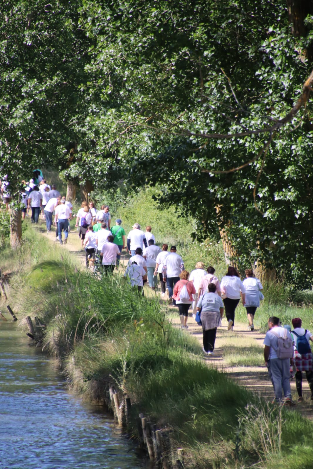 La octava marcha contra el cáncer de Rioseco, en imágenes