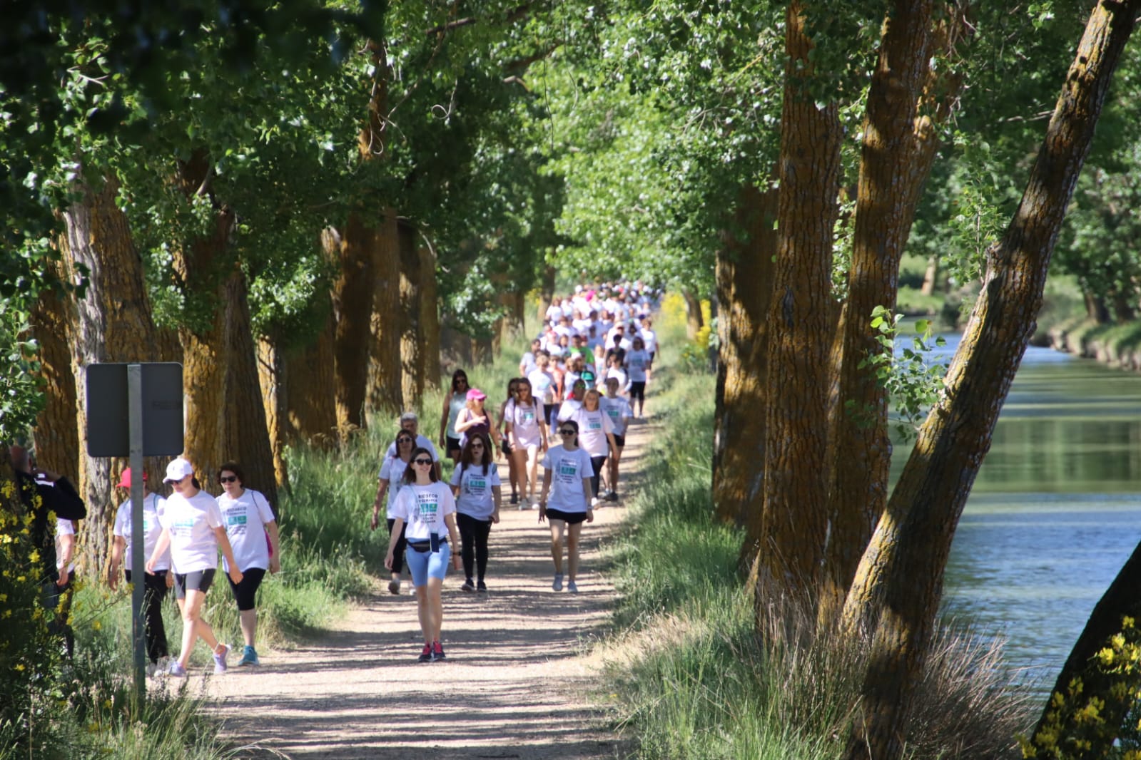 La octava marcha contra el cáncer de Rioseco, en imágenes