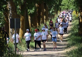 Varios caminantes en la marcha contra el cáncer